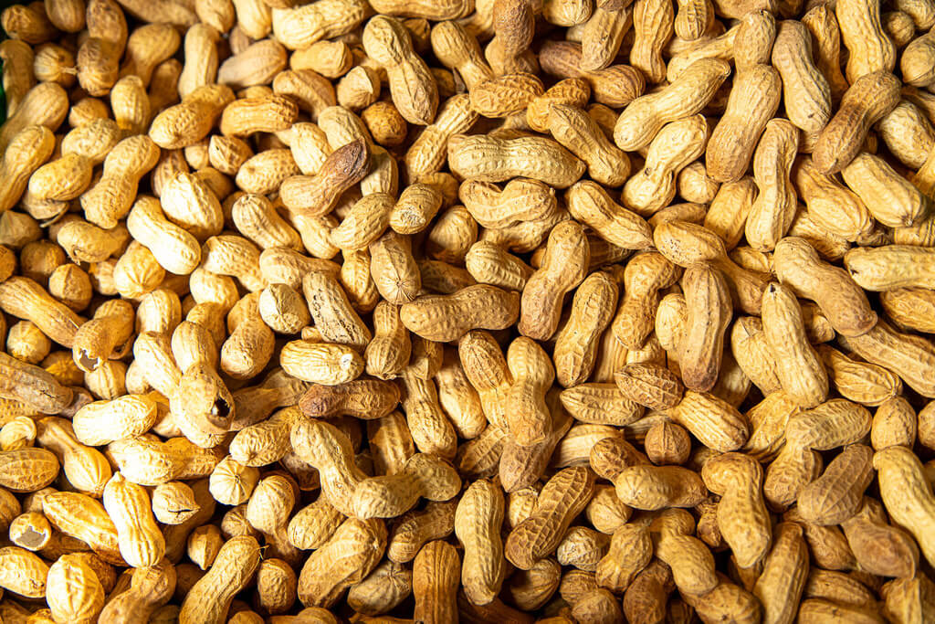 Frisches Obst und Gemüse